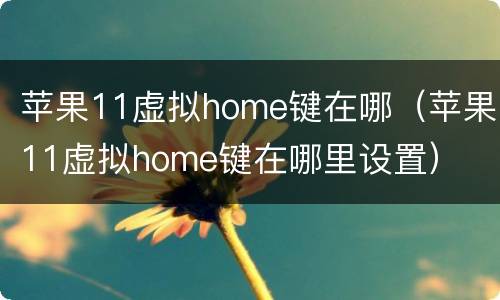 苹果11虚拟home键在哪（苹果11虚拟home键在哪里设置）
