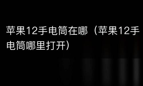 苹果12手电筒在哪（苹果12手电筒哪里打开）