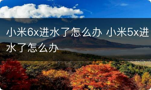 小米6x进水了怎么办 小米5x进水了怎么办