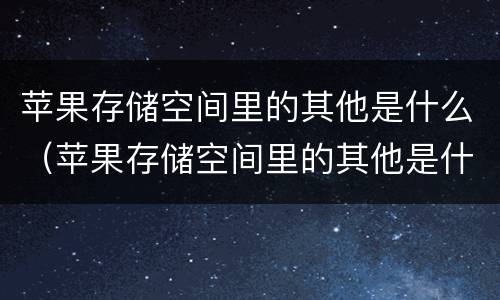 苹果存储空间里的其他是什么（苹果存储空间里的其他是什么怎么删除）