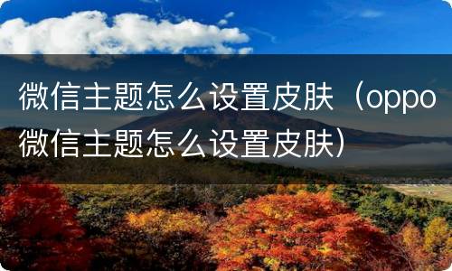 微信主题怎么设置皮肤（oppo微信主题怎么设置皮肤）
