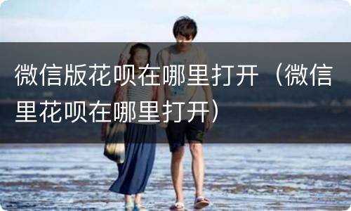微信版花呗在哪里打开（微信里花呗在哪里打开）