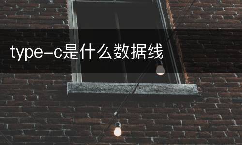 type-c是什么数据线