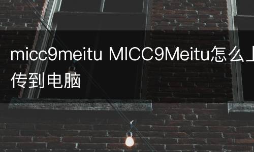 micc9meitu MICC9Meitu怎么上传到电脑